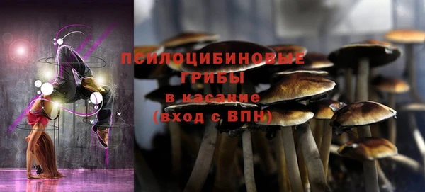 первитин Абинск